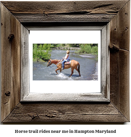 horse trail rides near me in Hampton, Maryland